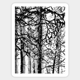 Birches Sticker